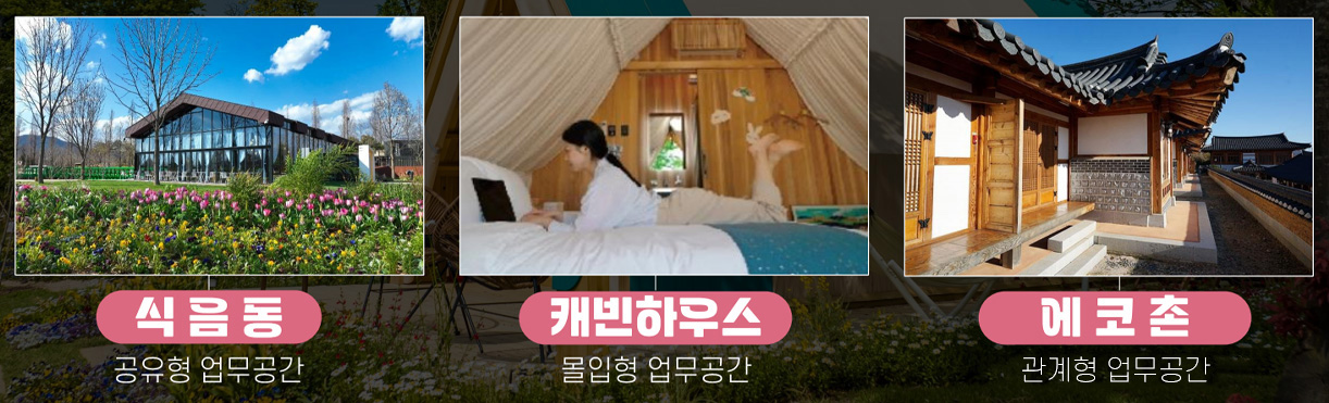 식음동(공유형업무공간), 캐빈하우스(몰입형업무공간), 에코촌(관계형 업무공간)을 보여주고 있음