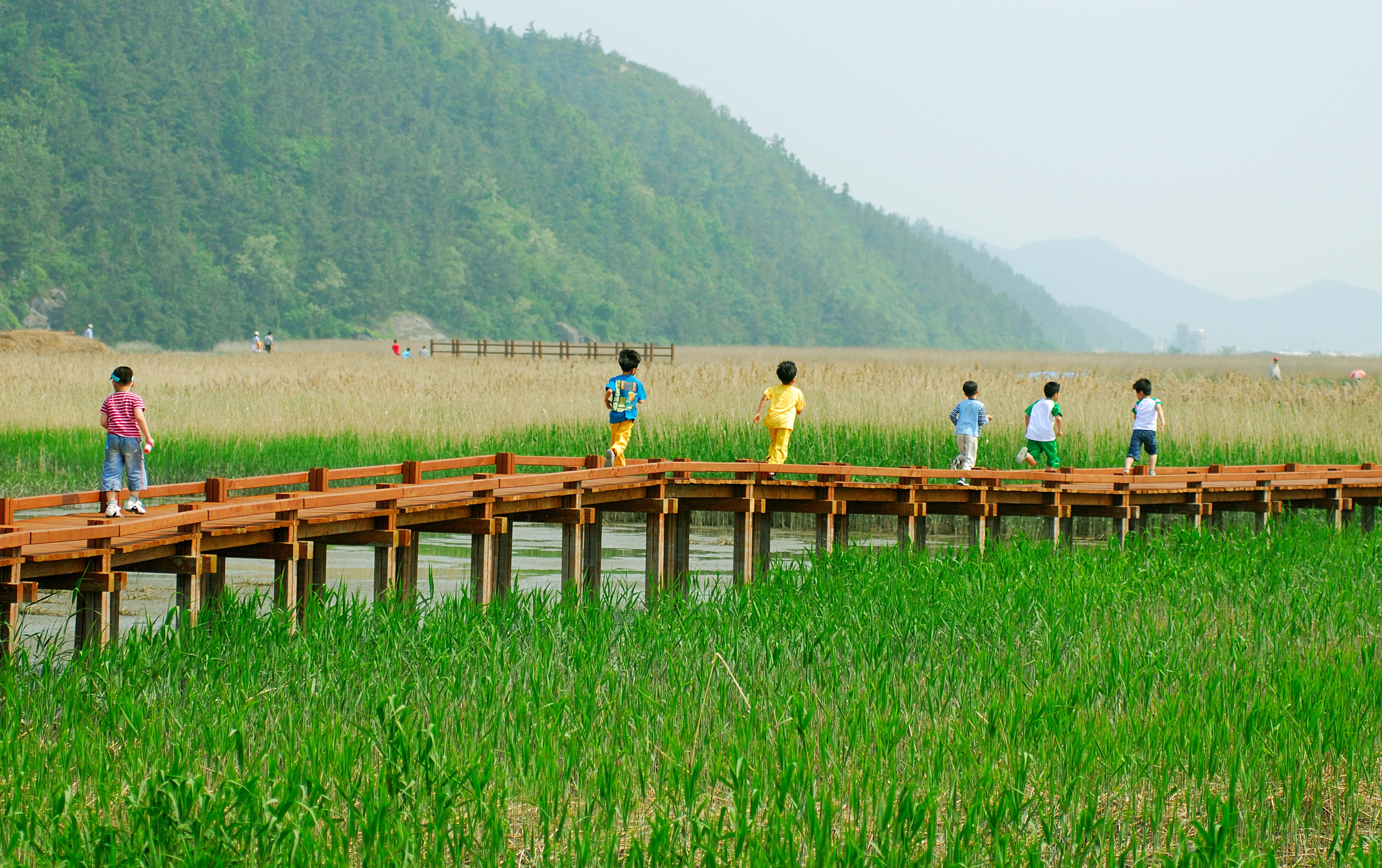 순천만 탐방로위의동심.jpg 이미지입니다.