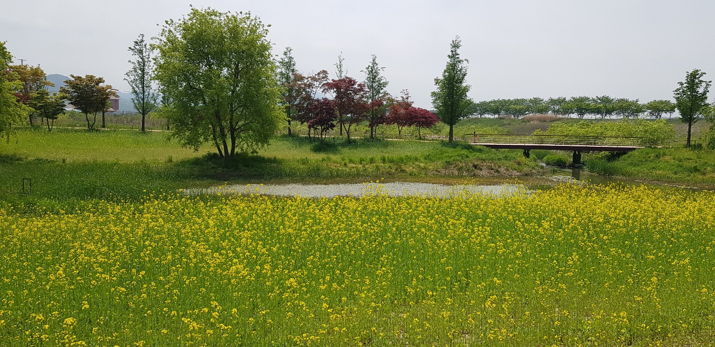 1588385113470.jpg 이미지입니다.