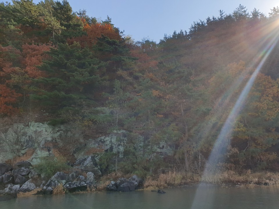 흑두루미의 낙원,순천만 습지