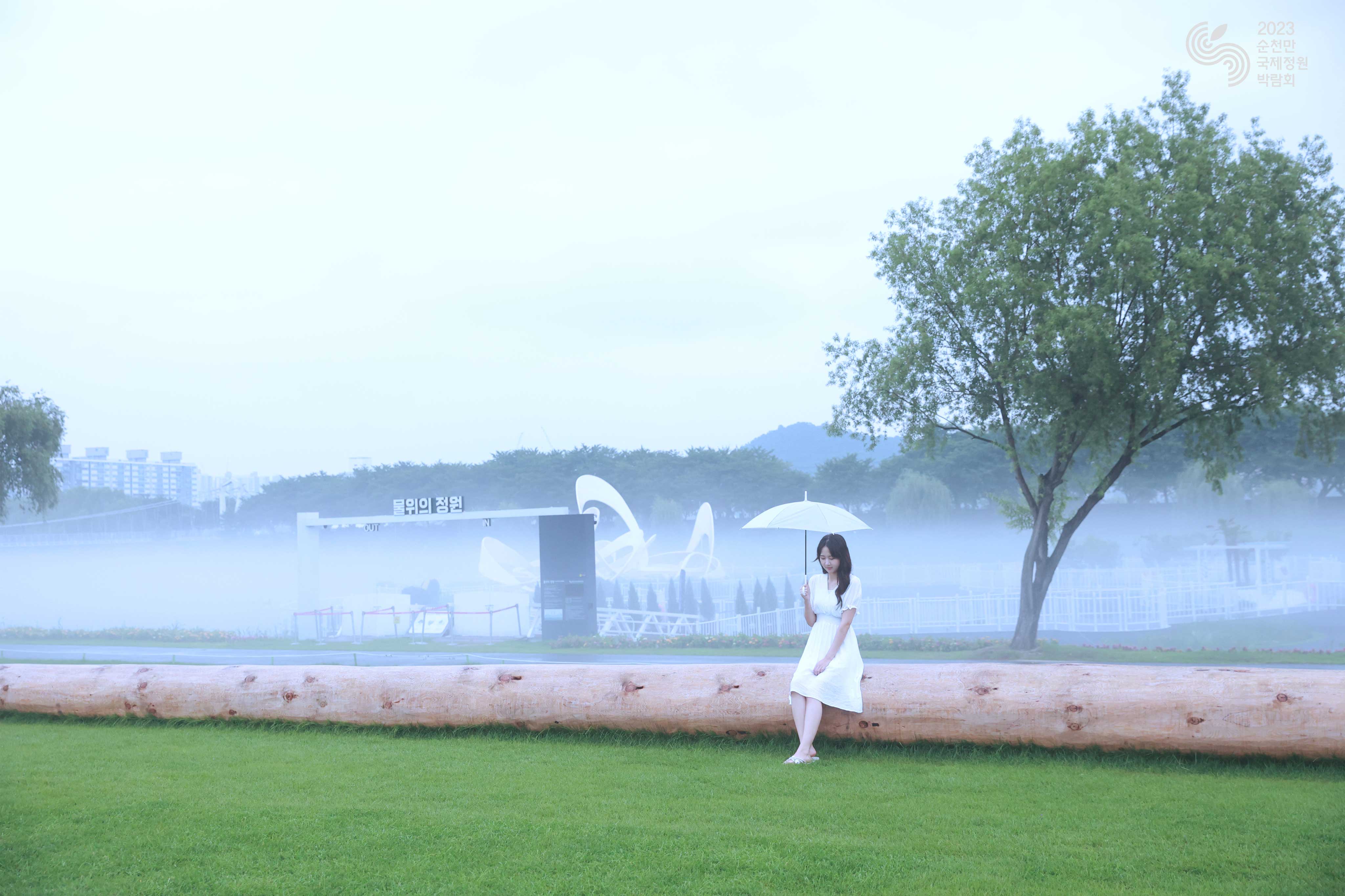 이상한 나라의 몽환정원