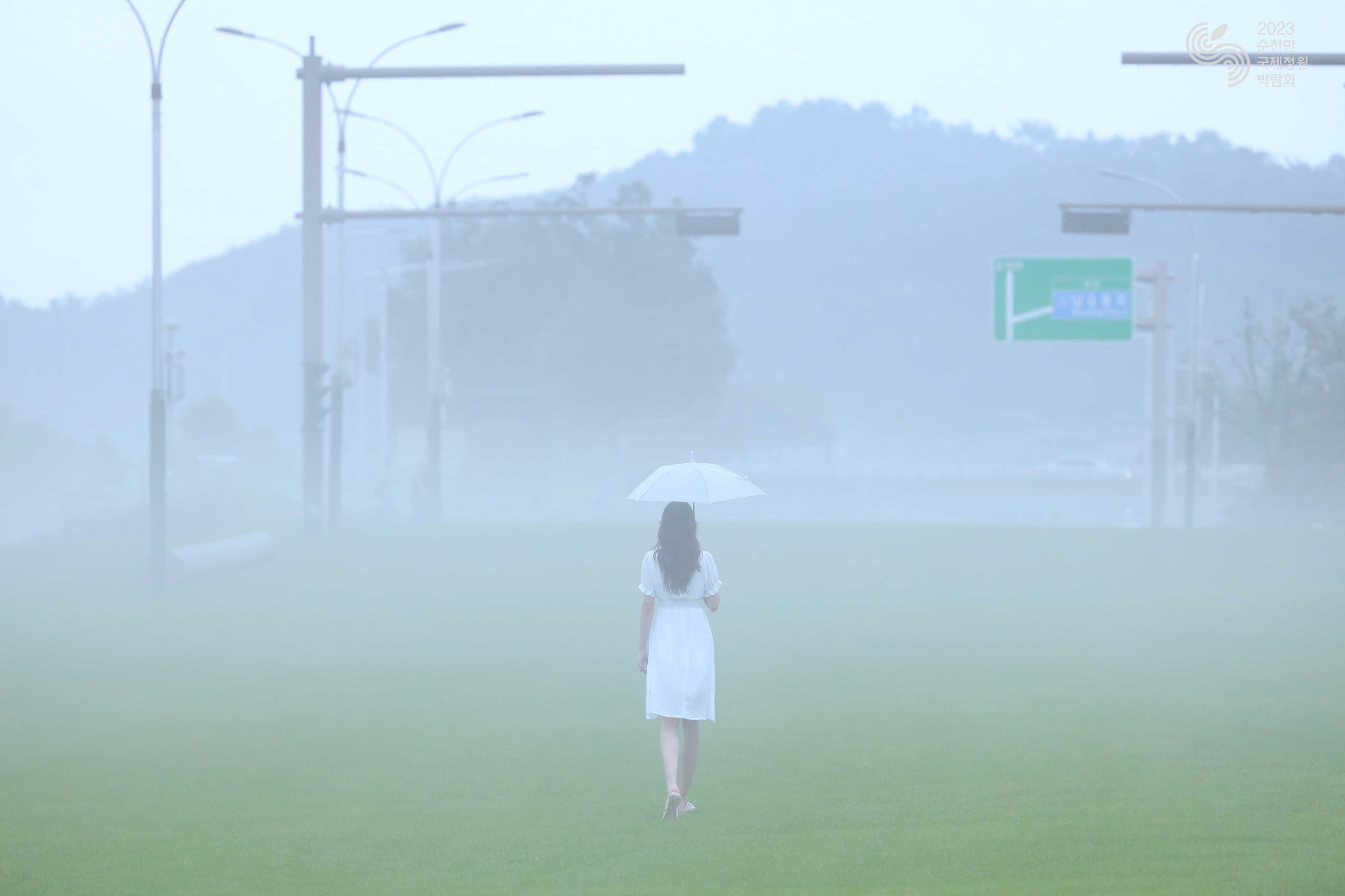이상한 나라의 몽환정원