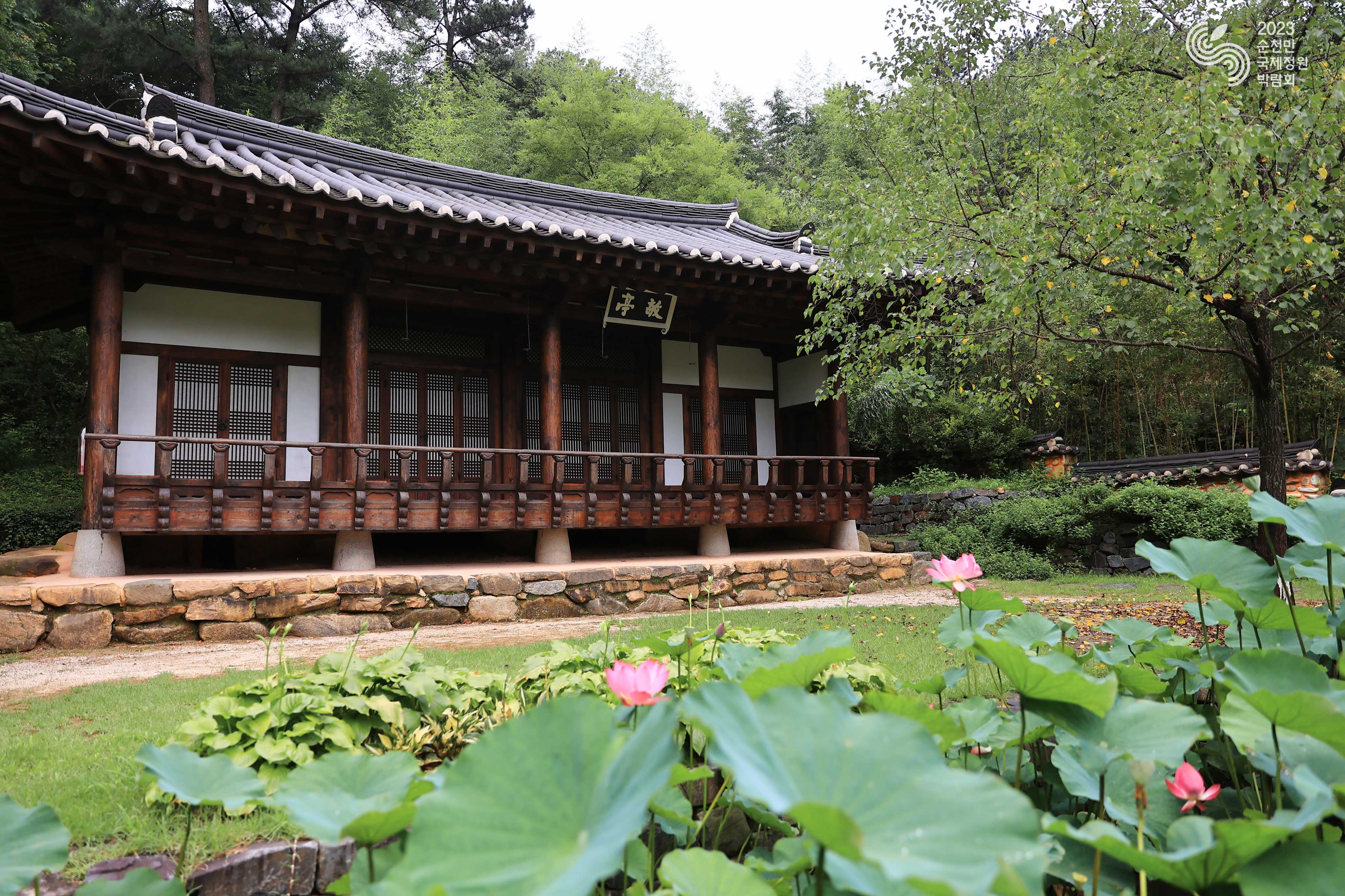 한국정원 속 연꽃