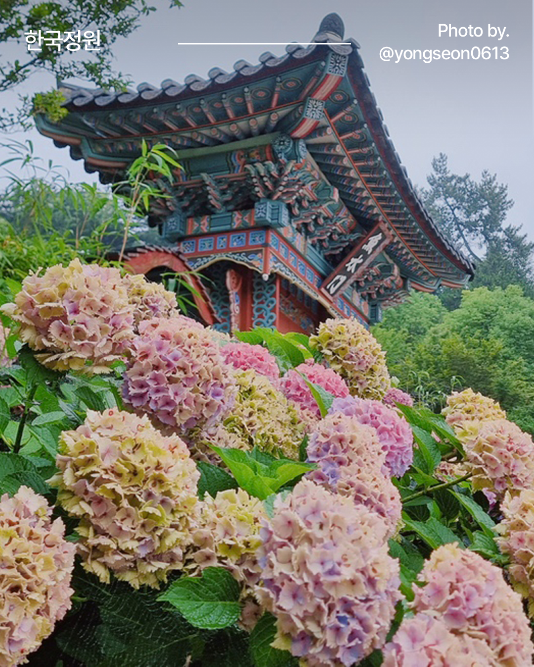 우리의 여름, 여름, 여름