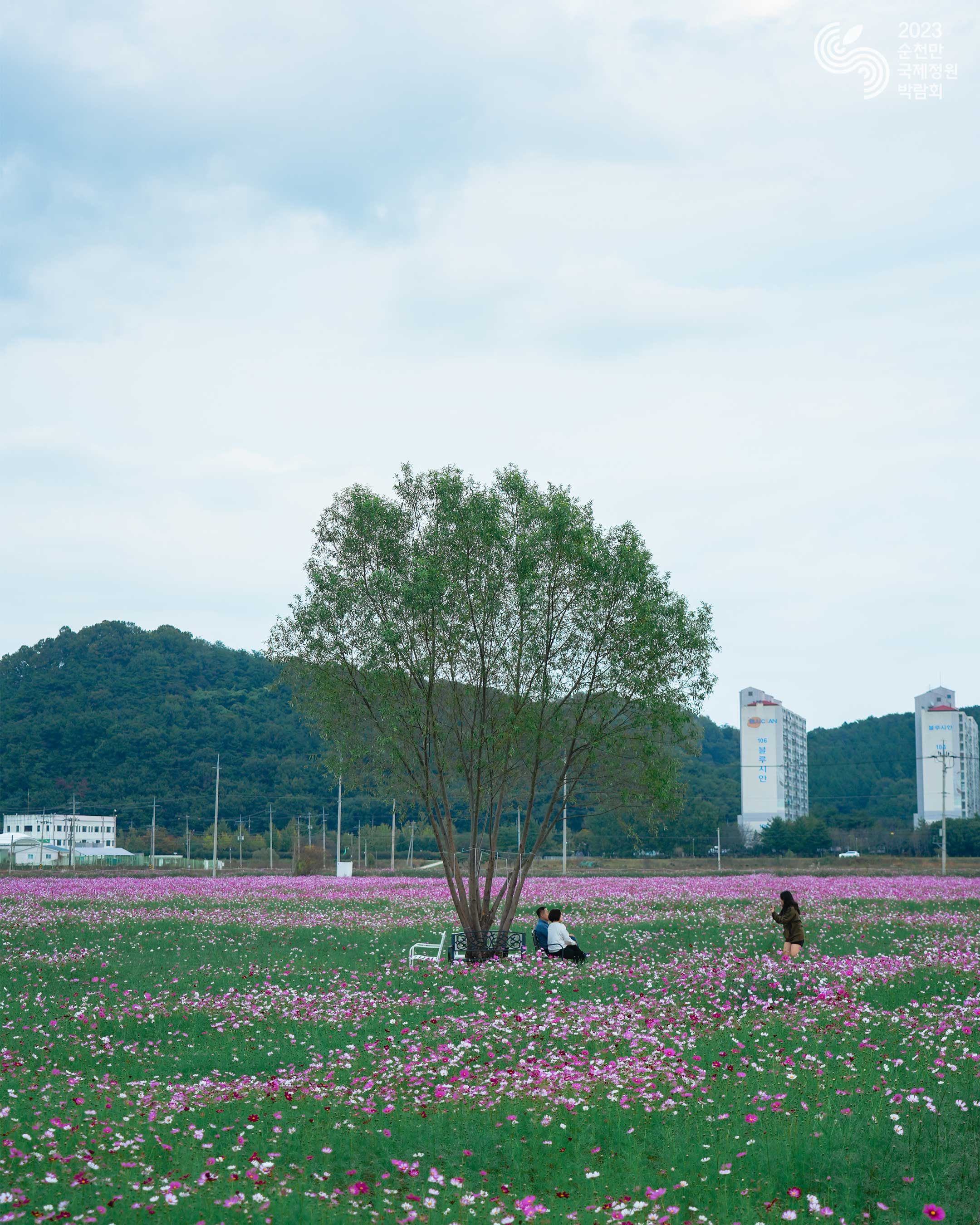 가을의 경관정원