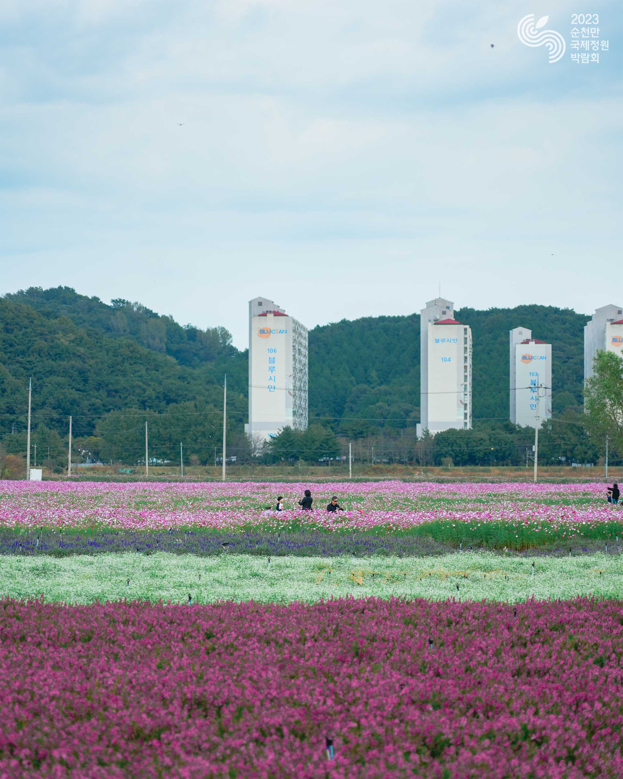 가을의 경관정원