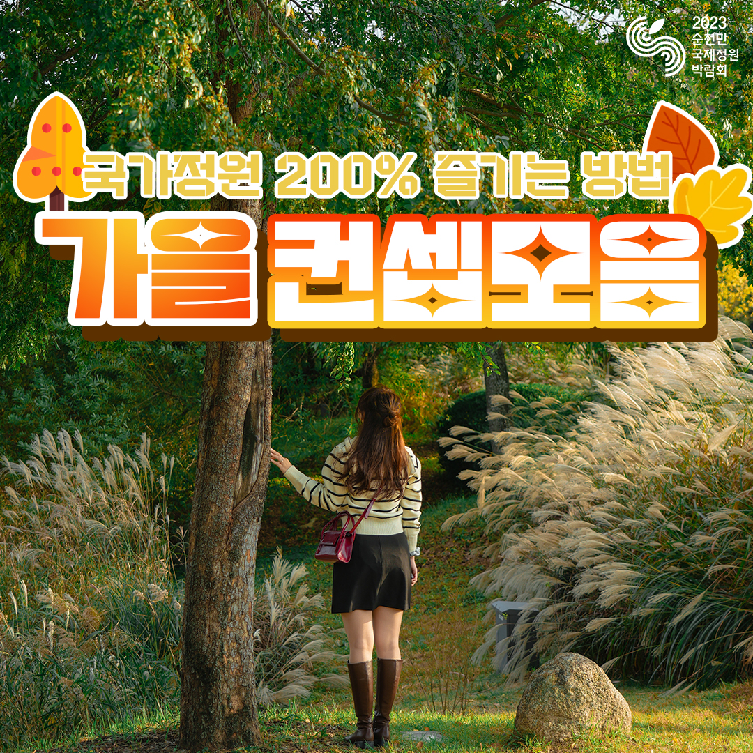 가을 컨셉 모음