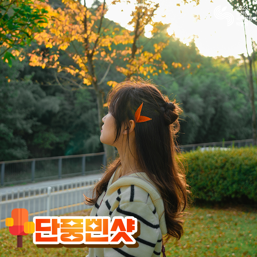 가을 컨셉 모음