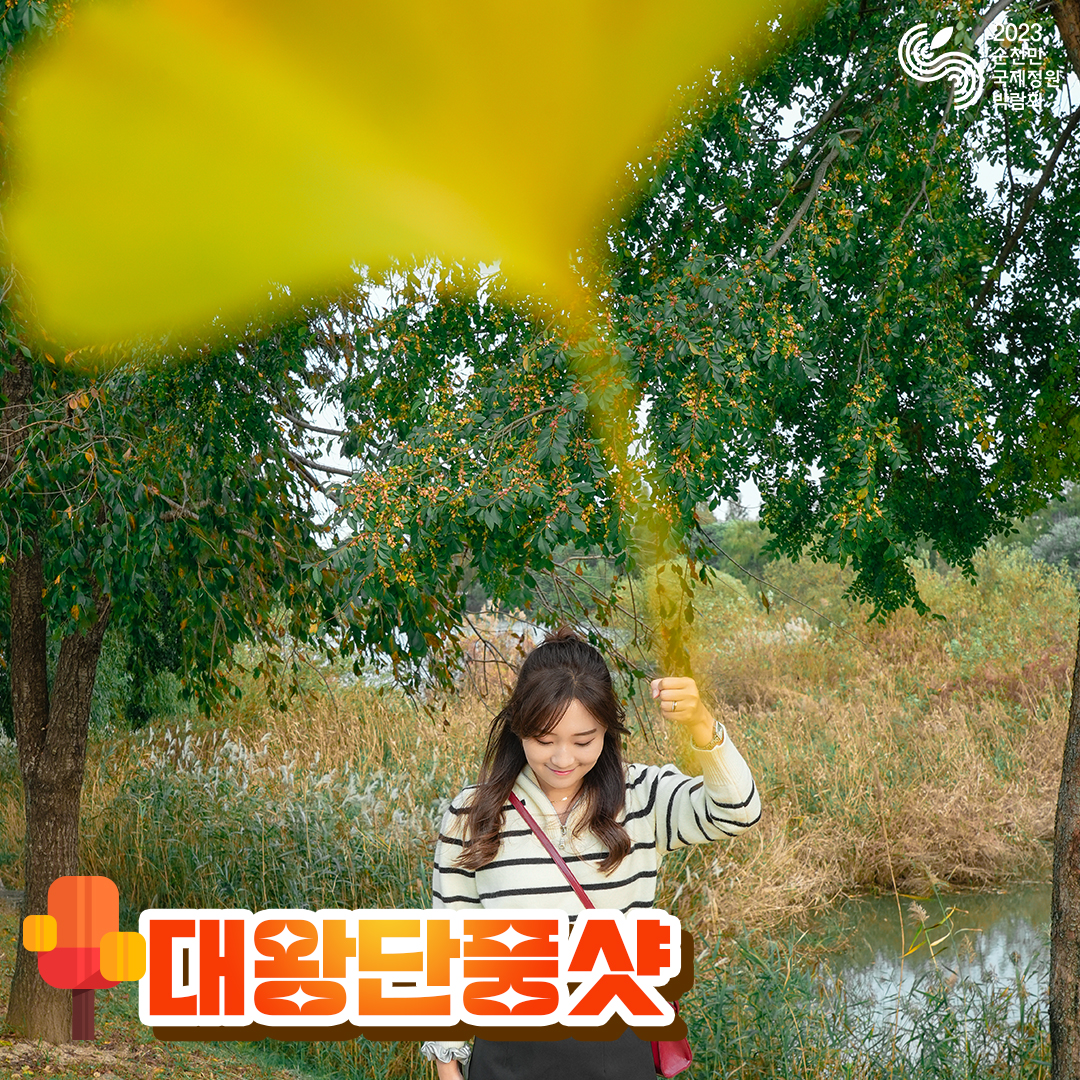 가을 컨셉 모음