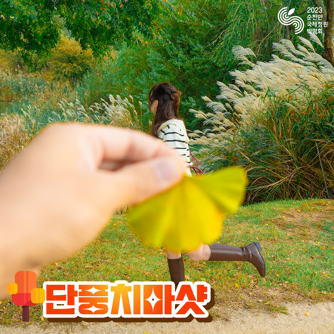 가을 컨셉 모음