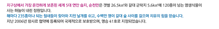 지구상에서 가장 온전하게 보존된 세계 5대 연안 습지, 순천만은 갯벌 26.5제곱킬로미터와 갈대
군락지 5.6제곱킬로미터에 120종이 넘는 염생식물이 사는 하늘이 내린 정원입니다.
해마다 235종이나 되는 철새들이 찾아와 지친 날개를 쉬고, 수백만 명이 갈대 숲 사이를 걸으며 치유의 힘을 얻습니다.
지난 2006년 람사르 협약에 등록되어 국제적으로 보호받으며, 명승 41호로 지정되었습니다.