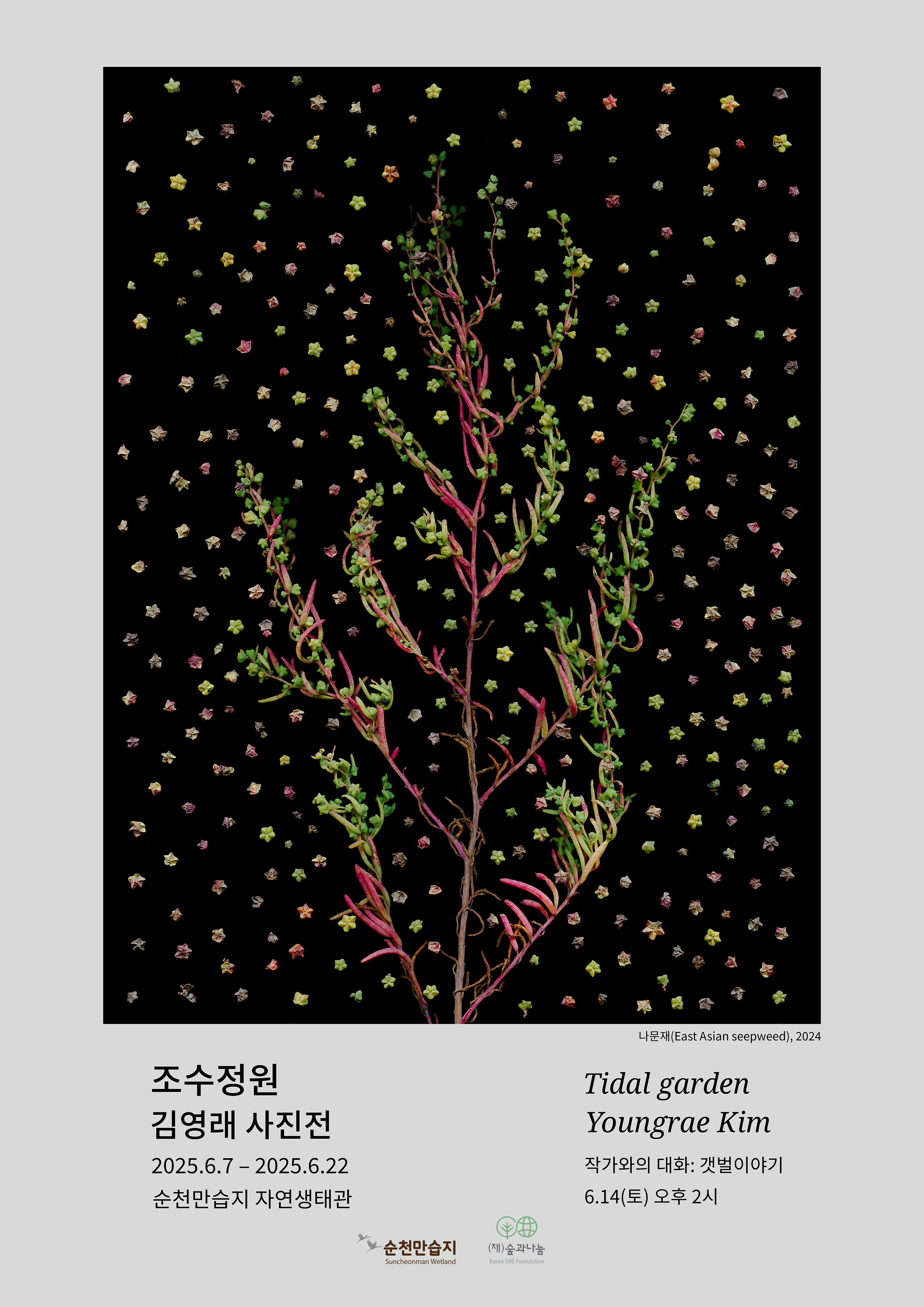 조수정원 김영래 사진전