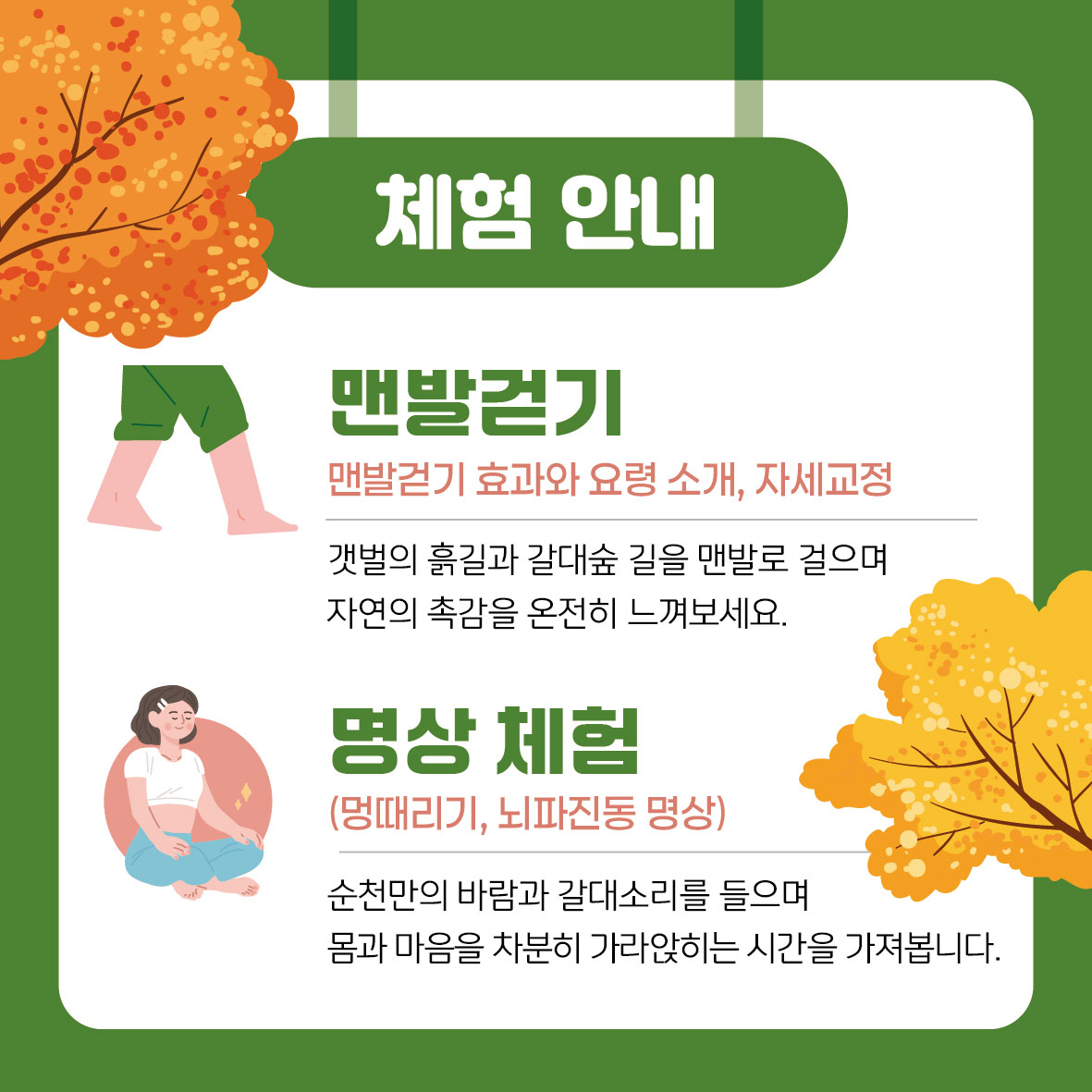 순천만 맨발 힐링로드