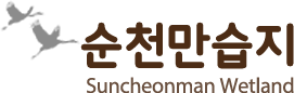 순천만습지 suncheon bay wetland reserve