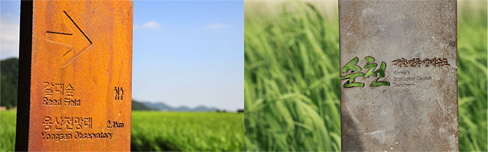 여름 순천만 갈대를 배경으로 갈대숲(Reed Field) 용산전망대(Yongsan Qbservatory) 2.1km라고 적힌 표지판 이미지와 순천 대한민국생태수도 Korea's Ecological Capital Suncheon 이라 적힌 표지판 이미지
