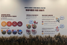 비옥한 순천만의 사계를 물들이는 염생식물 염생식물의 터전 염습지 순천만의 갈대는 왜 동그랗게 모여서 자랄까? 칠면초는 왜 붉어질까? 염생식물의 생존전략